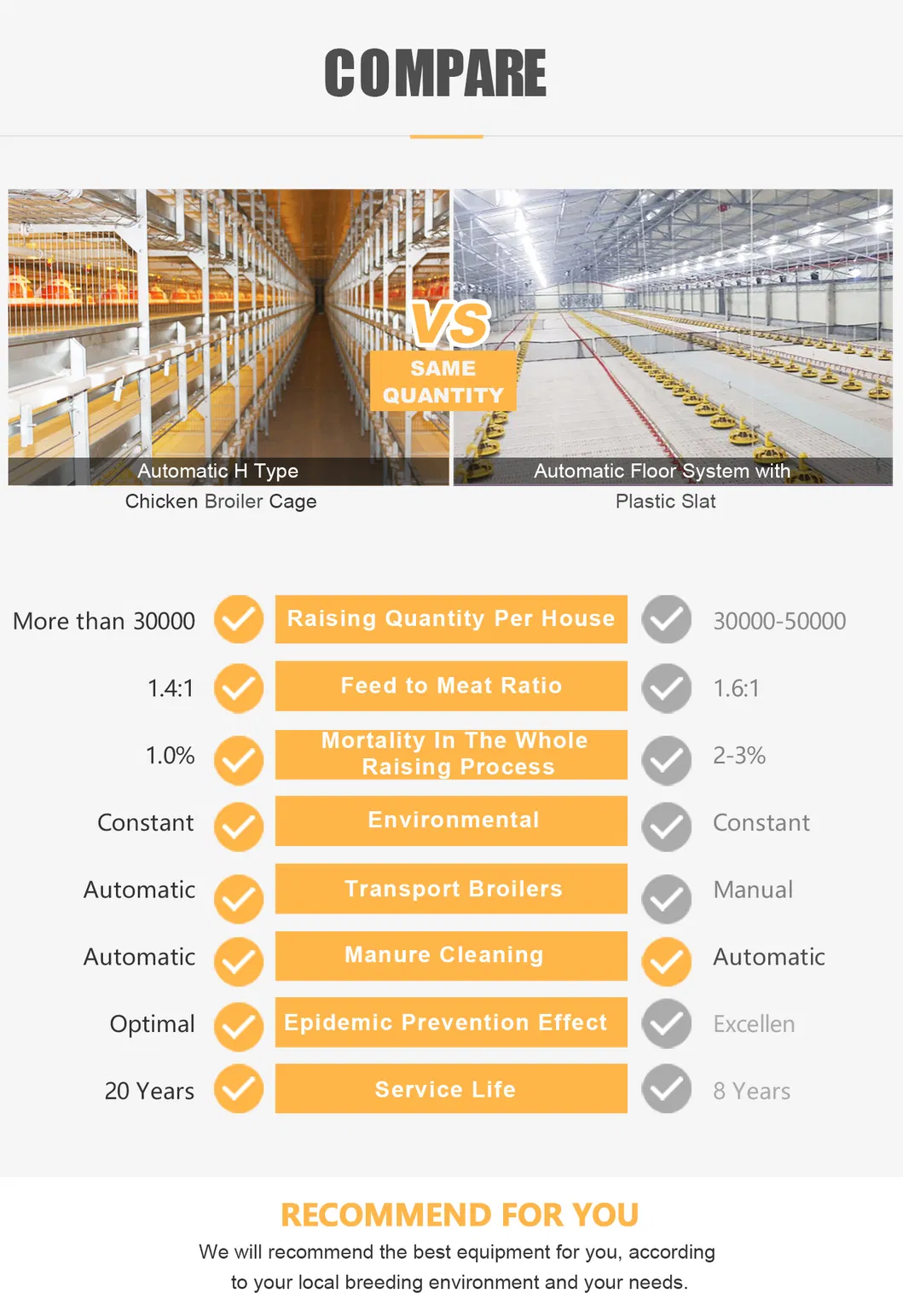 Automatic Broiler Chicken Cage for Layer Poultry