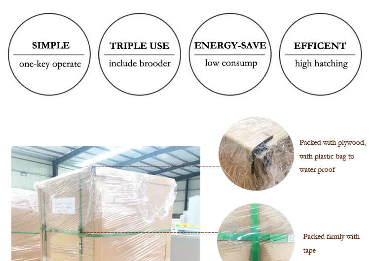 Automatic Cheap Small Incubator Egg Automatic