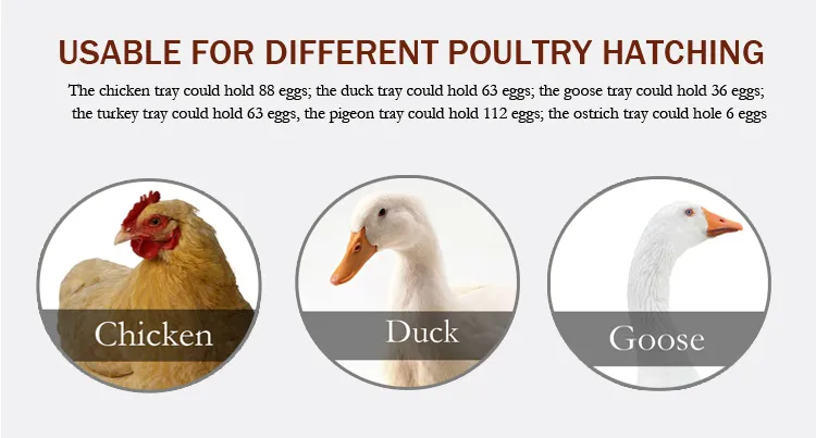 Automatic Cheap Small Incubator Egg Automatic