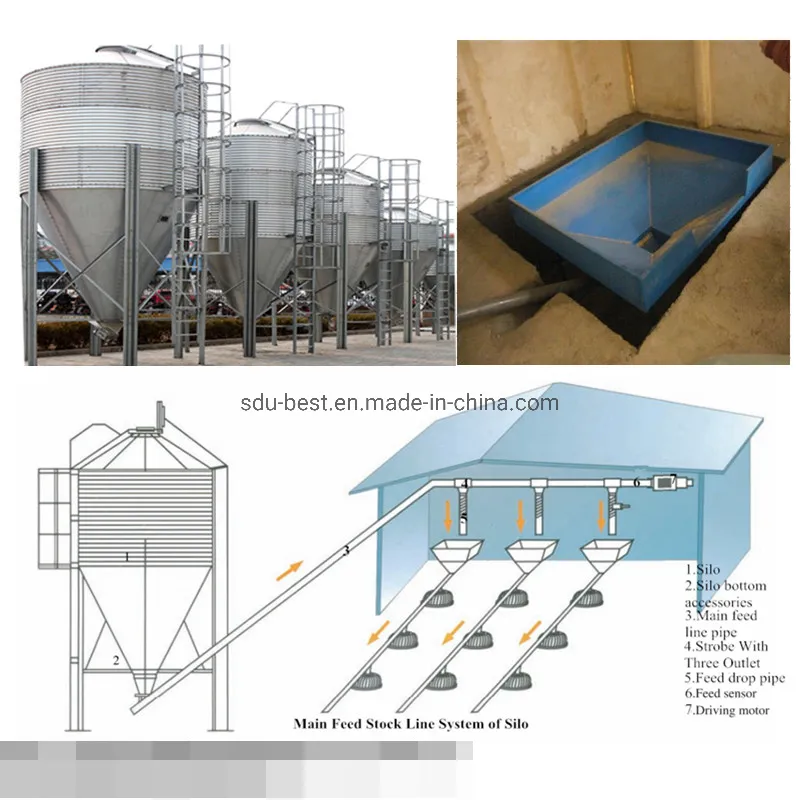 Automatic Chicken Farm Equipment for Feeding and Drinking Poultry Broiler