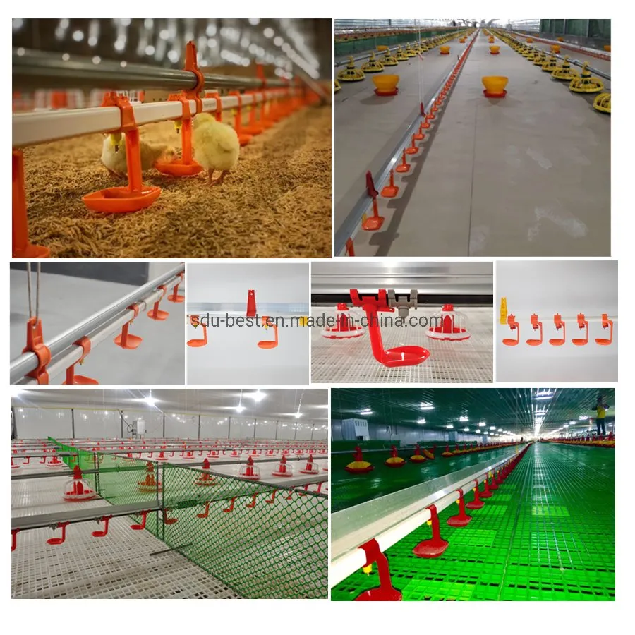 Automatic Chicken Farm Equipment for Feeding and Drinking Poultry Broiler