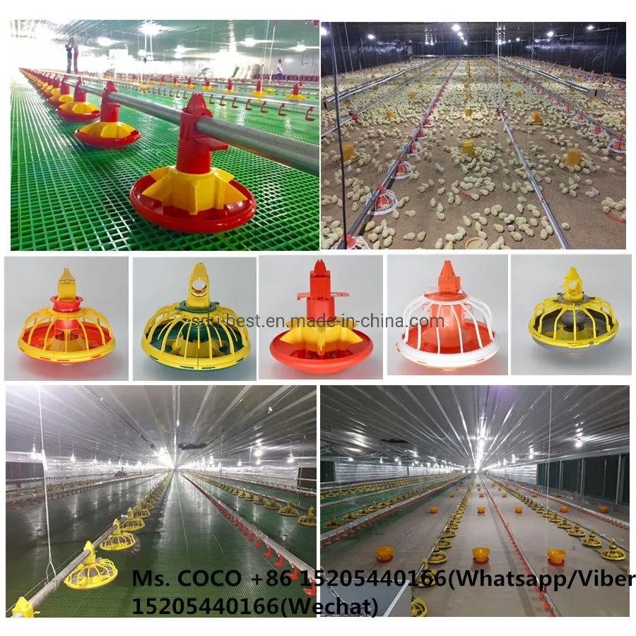 Automatic Chicken Farm Equipment for Feeding and Drinking Poultry Broiler