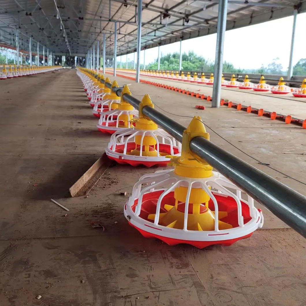Automatic Chicken Feeder Drinkers for Chicken House Poultry Farm Livestock