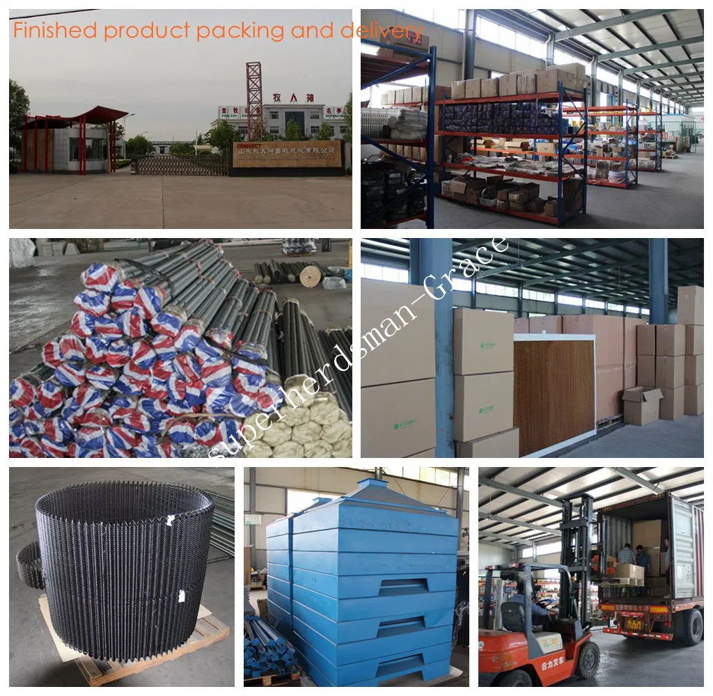 Automatic Chicken Feeders for Broiler Production