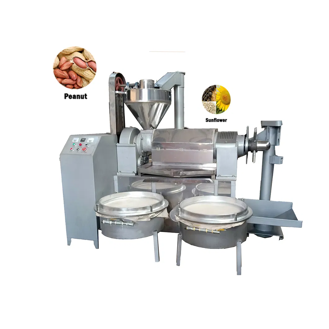 Automatic Hot Press Cottonseed Oil Squeezing Machine Durable in Use