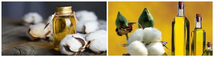 Automatic Hot Press Cottonseed Oil Squeezing Machine Durable in Use