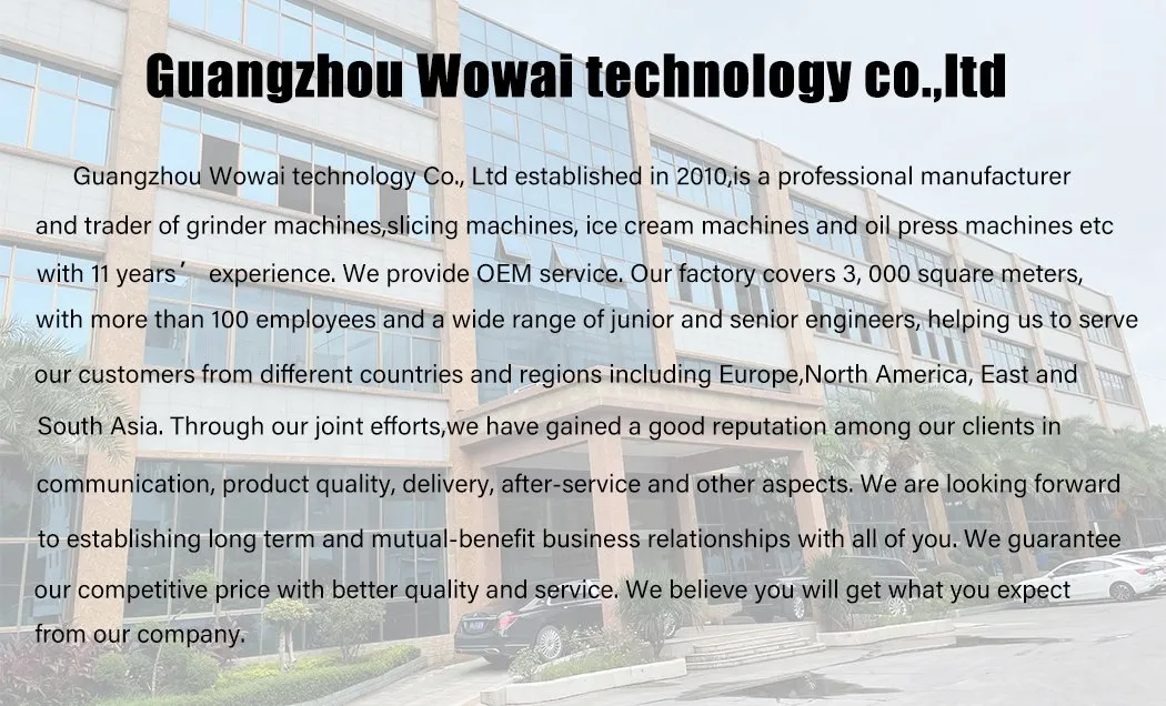 Automatic Moringa Seed Oil Extraction Machine Mini Oil Press for Sale