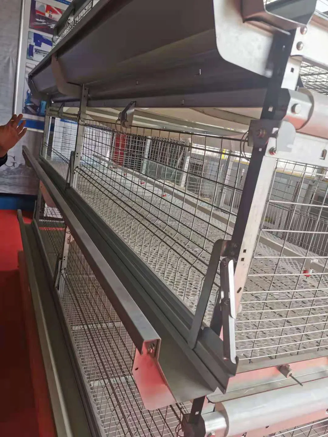 Automatic Poultry Broiler Cage New Desing Hot Galvanized Wiremeshes
