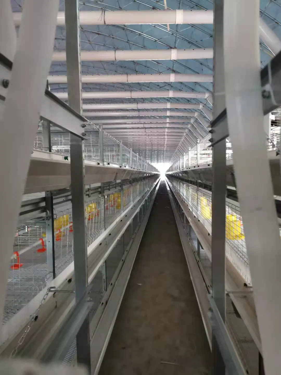 Automatic Poultry Broiler Cage New Desing Hot Galvanized Wiremeshes