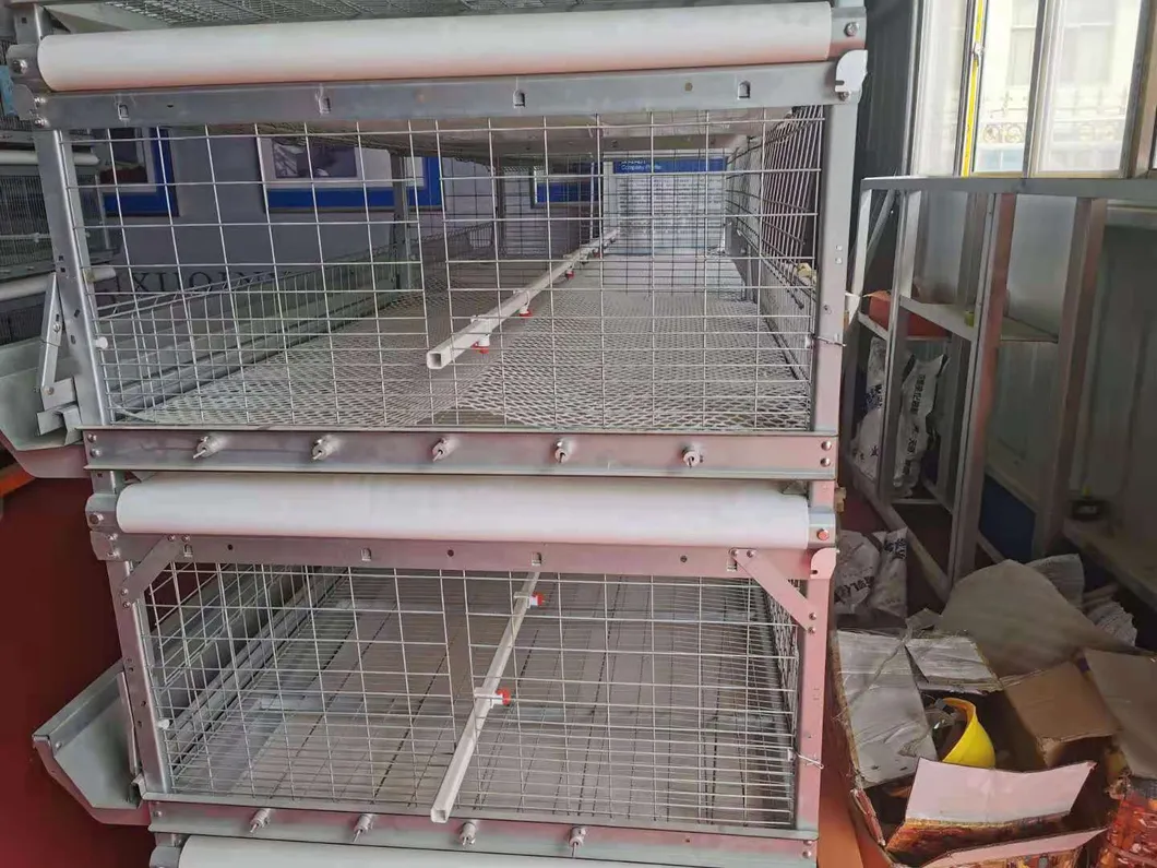 Automatic Poultry Broiler Cage New Desing Hot Galvanized Wiremeshes