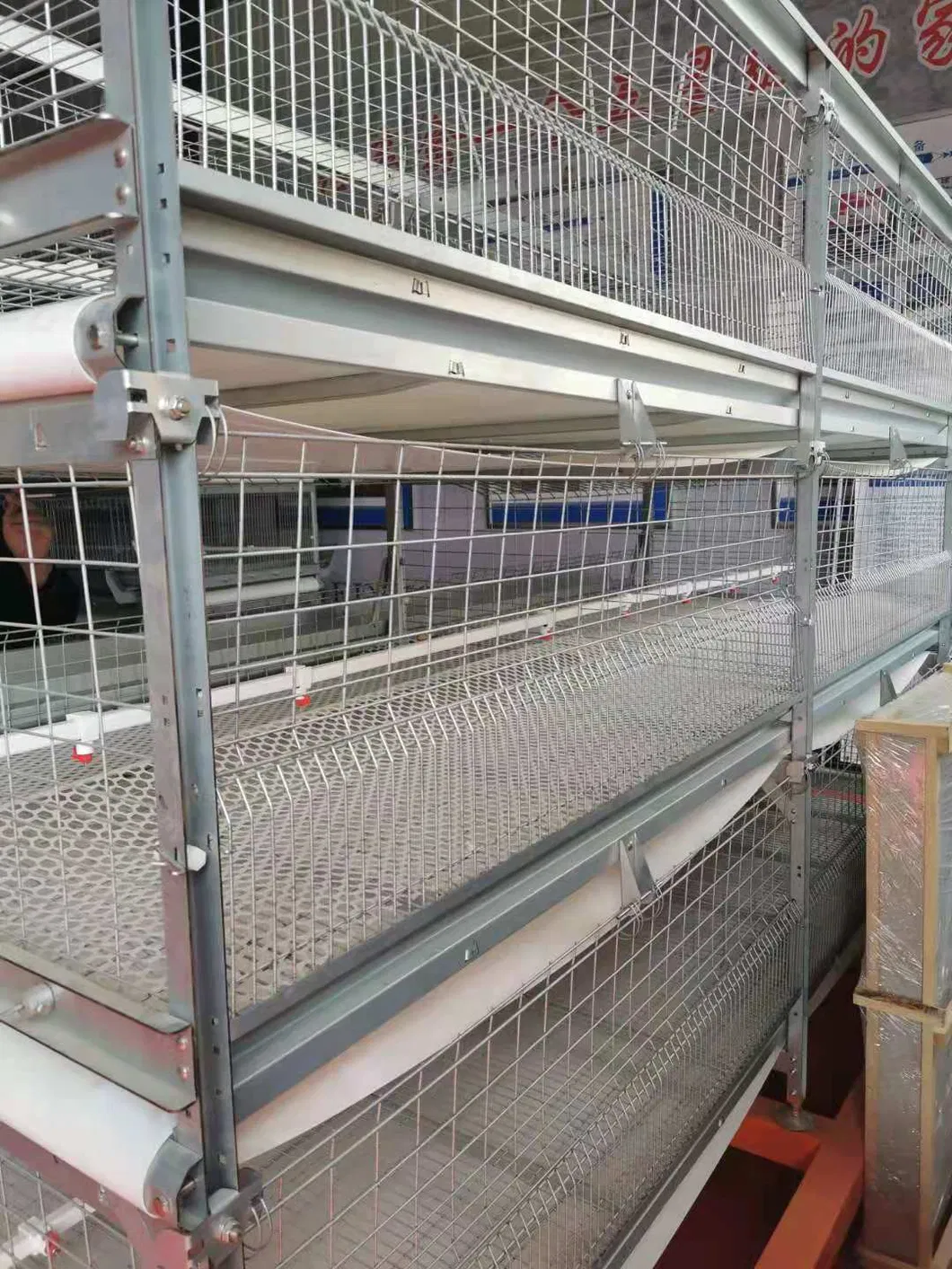 Automatic Poultry Broiler Cage New Desing Hot Galvanized Wiremeshes