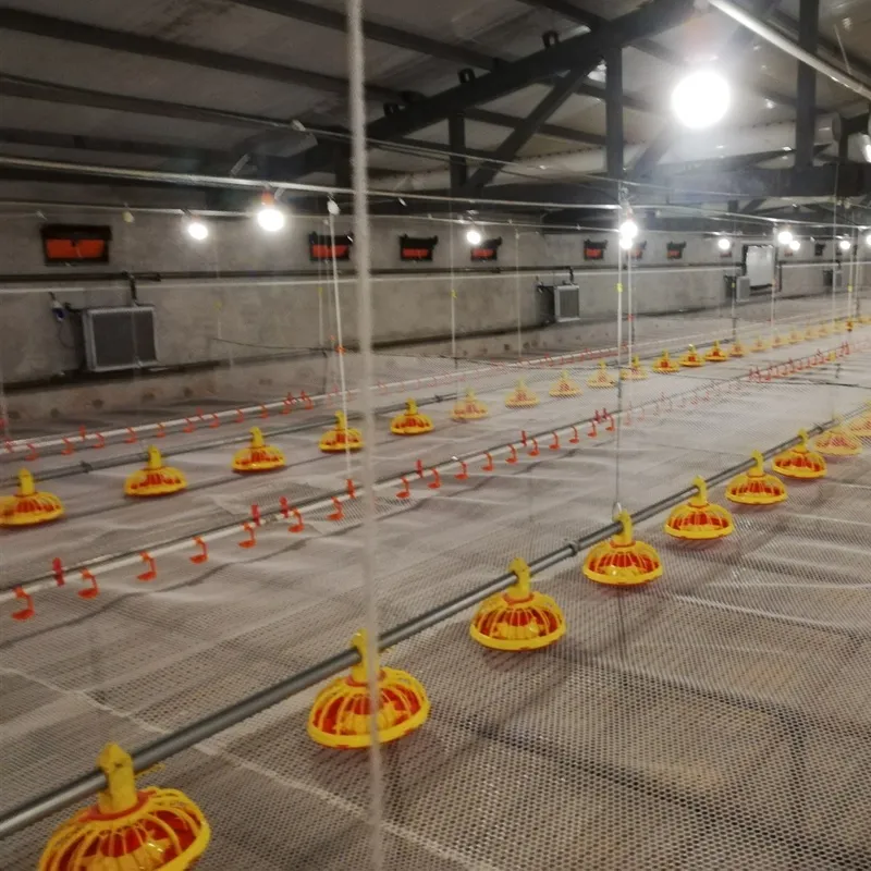 Automatic Poultry Farm Equipment Brand Broiler Feeding Pan