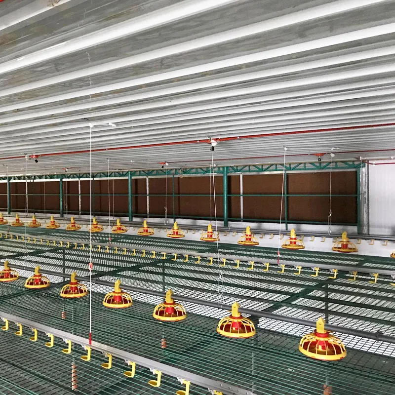 Automatic Poultry Farm Equipment Brand Broiler Feeding Pan