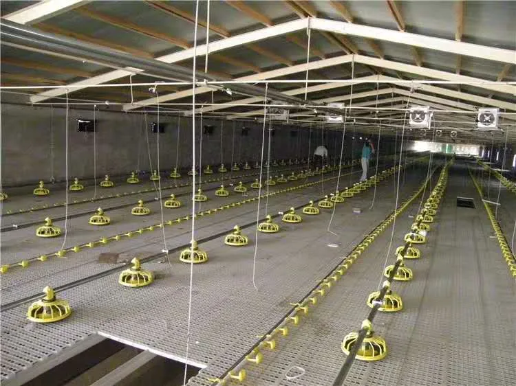 Automatic Poultry Farm Floor Raising Chicken Broiler Breeder Pan Feeder and Drinker System