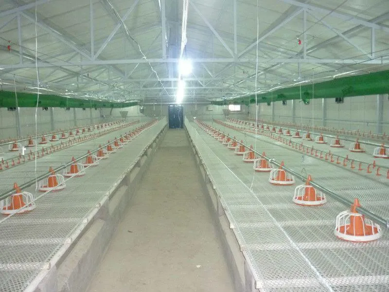 Automatic Poultry Farm Floor Raising Chicken Broiler Breeder Pan Feeder and Drinker System