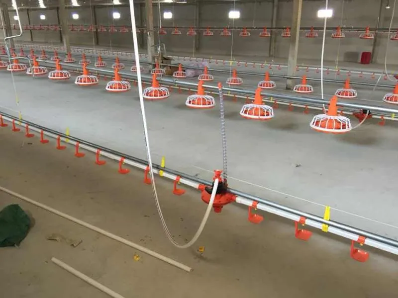 Automatic Poultry Farm Floor Raising Chicken Broiler Breeder Pan Feeder and Drinker System