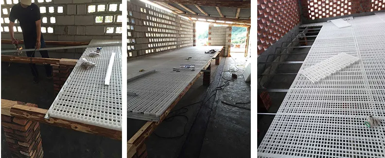 Automatic Poultry Farm Floor Raising Chicken Broiler Breeder Pan Feeder and Drinker System