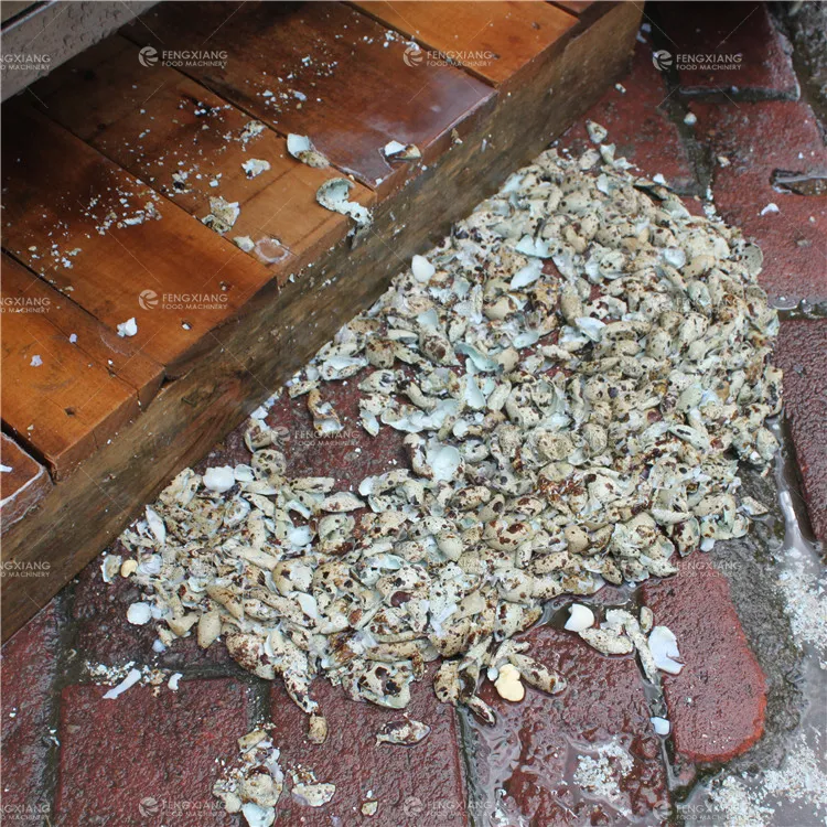 Automatic Quail Eggs Peeling Machine