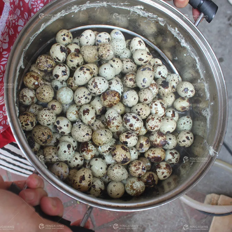 Automatic Quail Eggs Peeling Machine