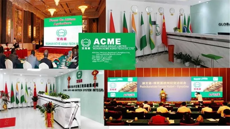 Automatic Small Complete Set Rice Mill Plant Made in China