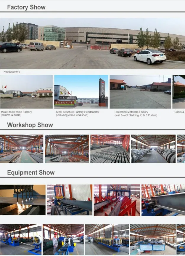 Bch001-Steel Structure Poultry House Integrated Auto- Breeding Equipment Farm, Saving Two Container Ocean Freight