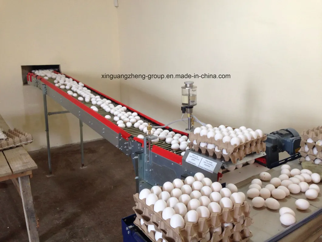 Bch001-Steel Structure Poultry House Integrated Auto- Breeding Equipment Farm, Saving Two Container Ocean Freight