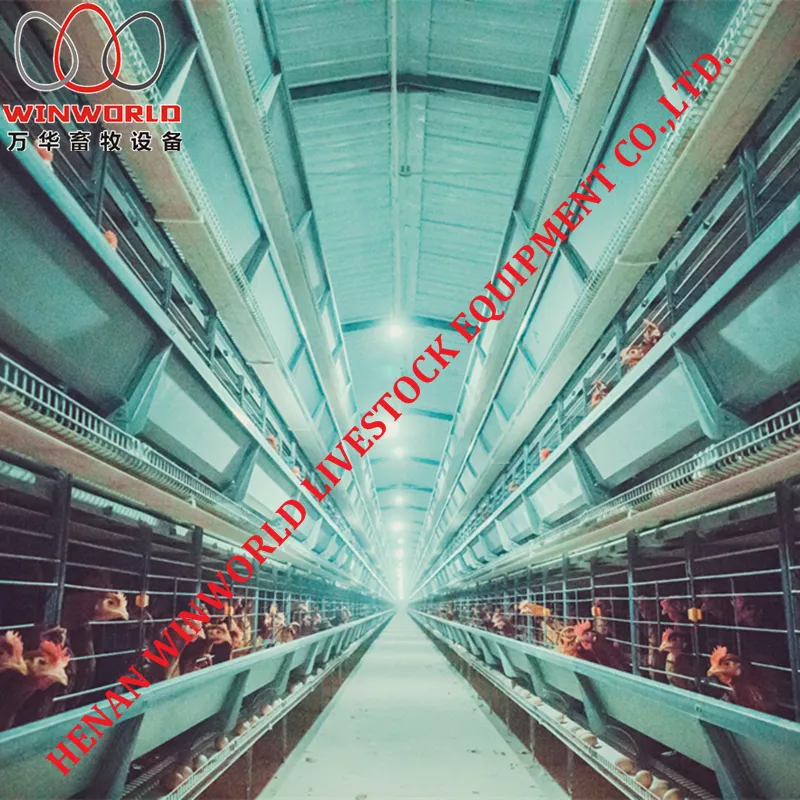 Best Sale Automatic Chicken House Design for Layers Poultry Farm