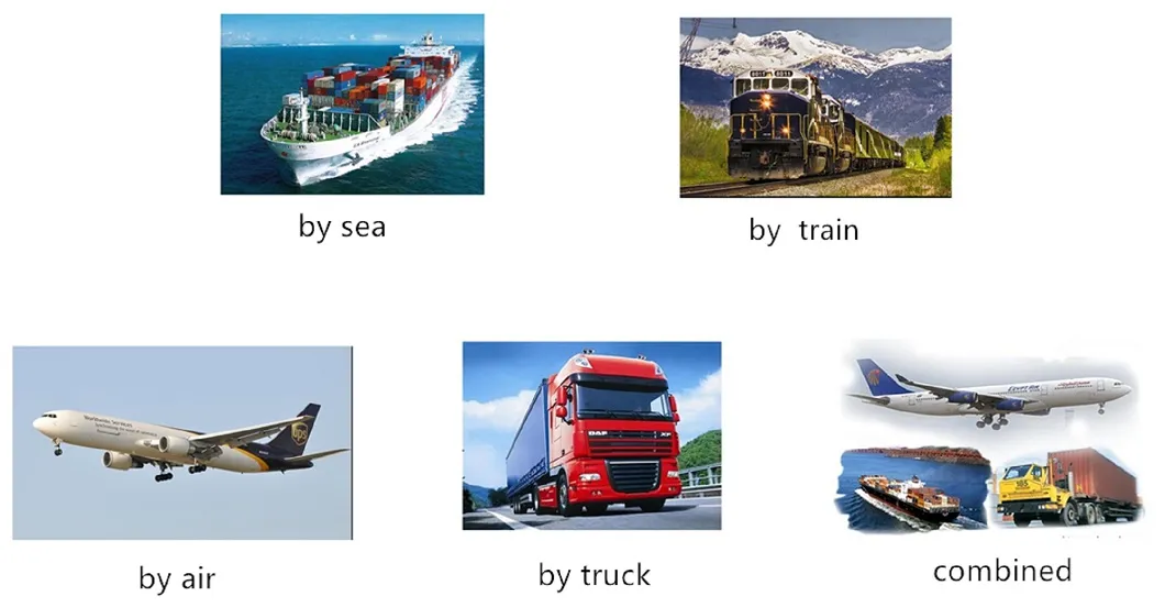 Bida Food Equipment Barley Processing Machinery Barley Grain Color Sorter with Digital Camera