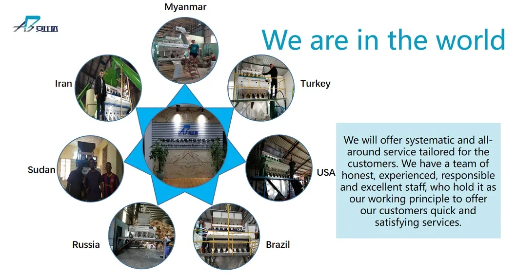 Bida Food Equipment Barley Processing Machinery Barley Grain Color Sorter with Digital Camera