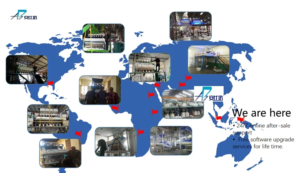 Bida Food Equipment Barley Processing Machinery Barley Grain Color Sorter with Digital Camera