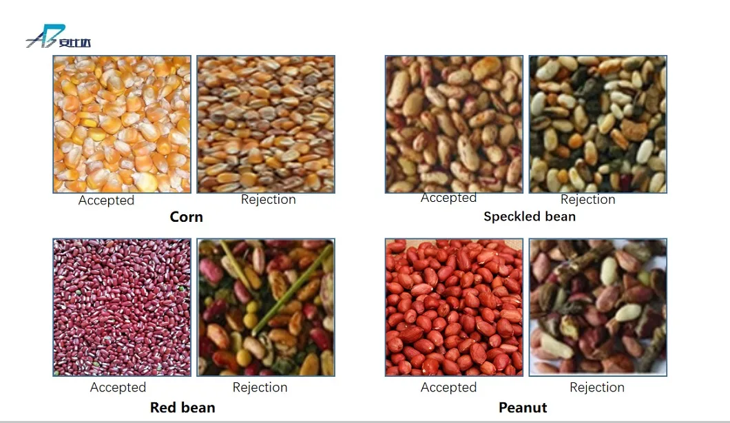 Bida Food Equipment Barley Processing Machinery Barley Grain Color Sorter with Digital Camera