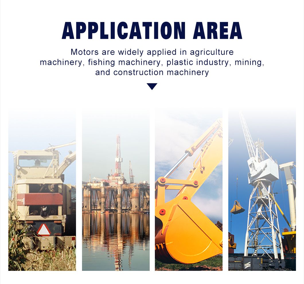 Bmv Omv Bm6 Hydraulic Drive Wheel Motor 315cc 400cc 500cc 630cc 800cc 1000cc Hydraulic Engine