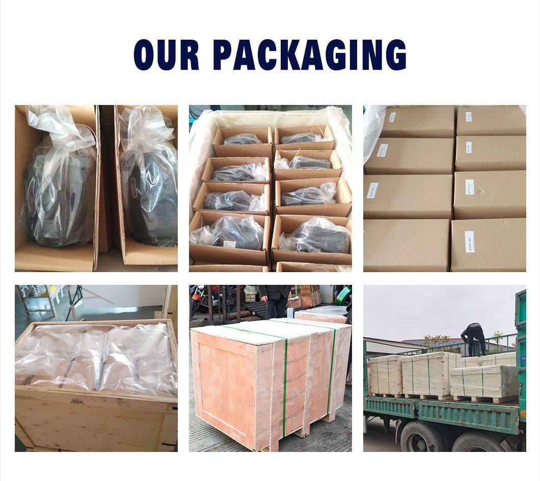 Bmv Omv Bm6 Hydraulic Drive Wheel Motor 315cc 400cc 500cc 630cc 800cc 1000cc Hydraulic Engine