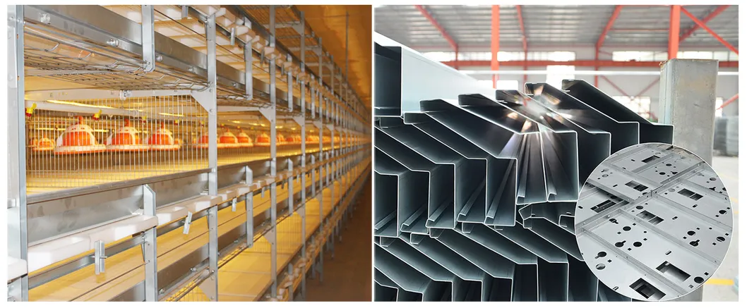 Broiler feeding equipment/automatic broiler feeding system