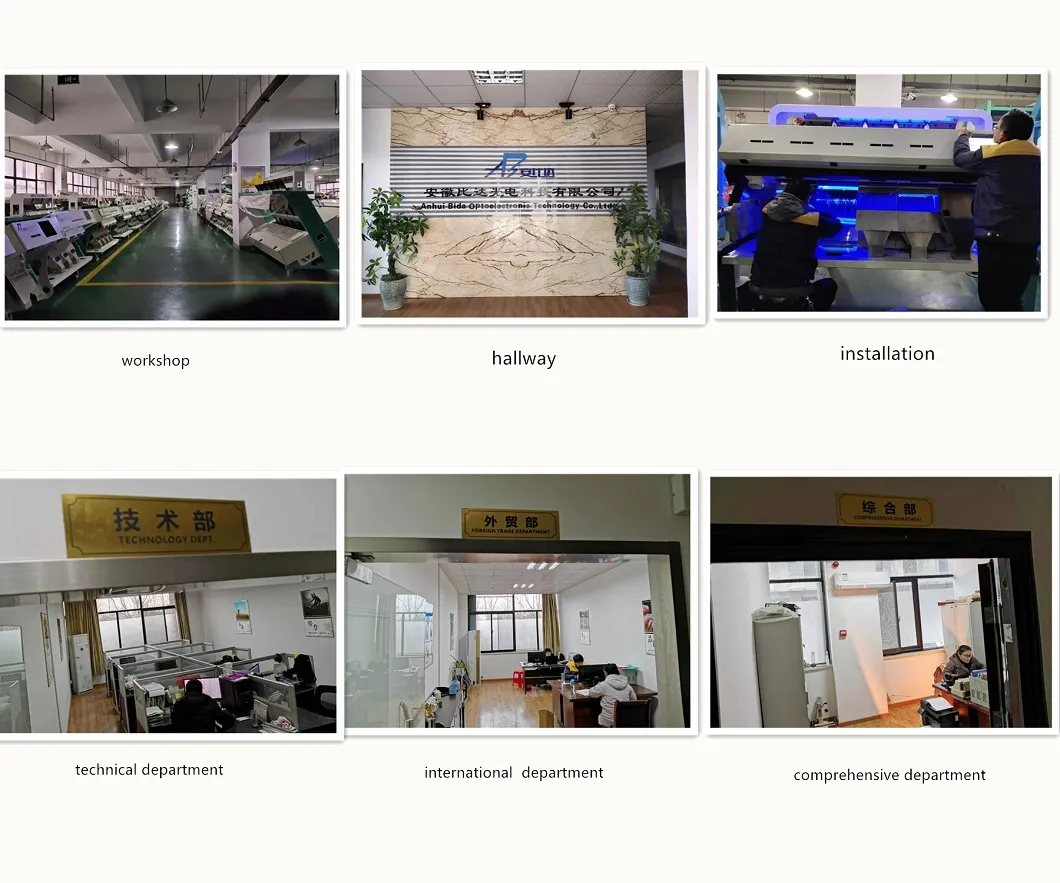 Buckwheat Color Sorter Buckwheat Color Sorting Machine with High Accurate CCD Camera and WiFi Remote Debugging