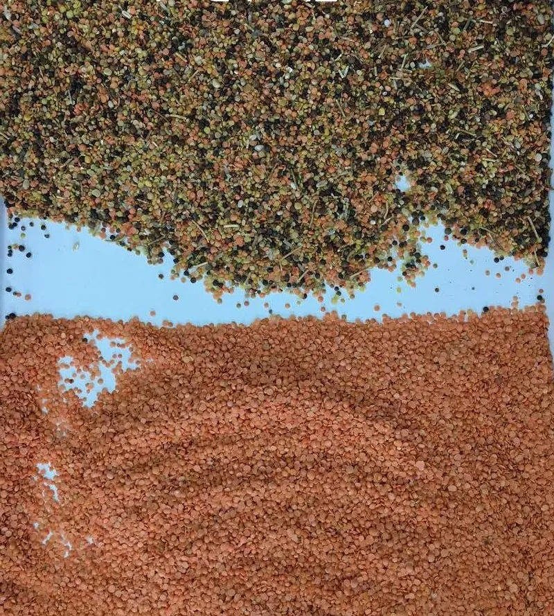 Buckwheat Color Sorter Buckwheat Color Sorting Machine with High Accurate CCD Camera and WiFi Remote Debugging