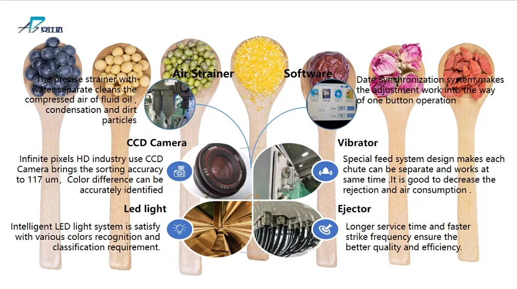 Buckwheat Color Sorter Buckwheat Color Sorting Machine with High Accurate CCD Camera and WiFi Remote Debugging