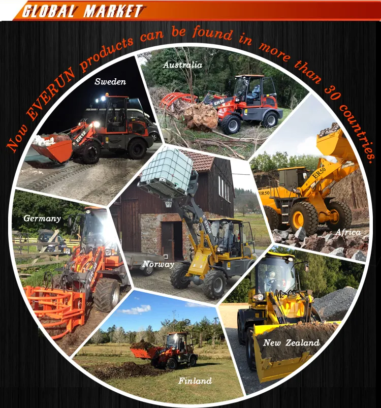 Ce Approved 0.8ton Wheel Loader with Rops and Fops Cabin for Sale