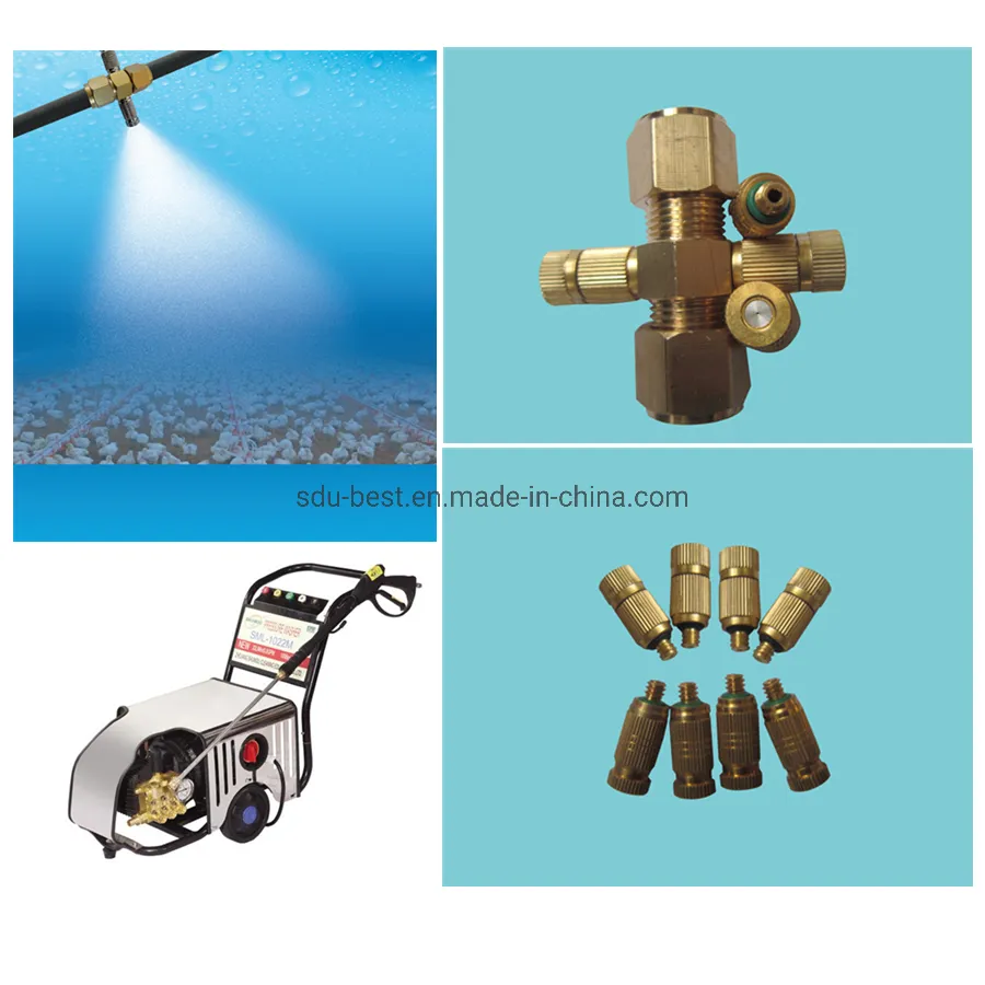 CE Approved Automatic Poultry Feeding Equipment for Farming Broiler Chicken