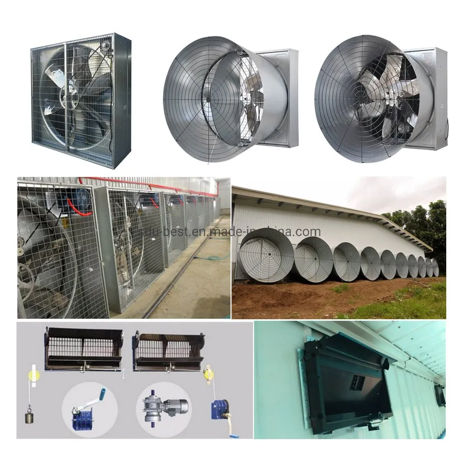 CE Approved Automatic Poultry Feeding Equipment for Farming Broiler Chicken