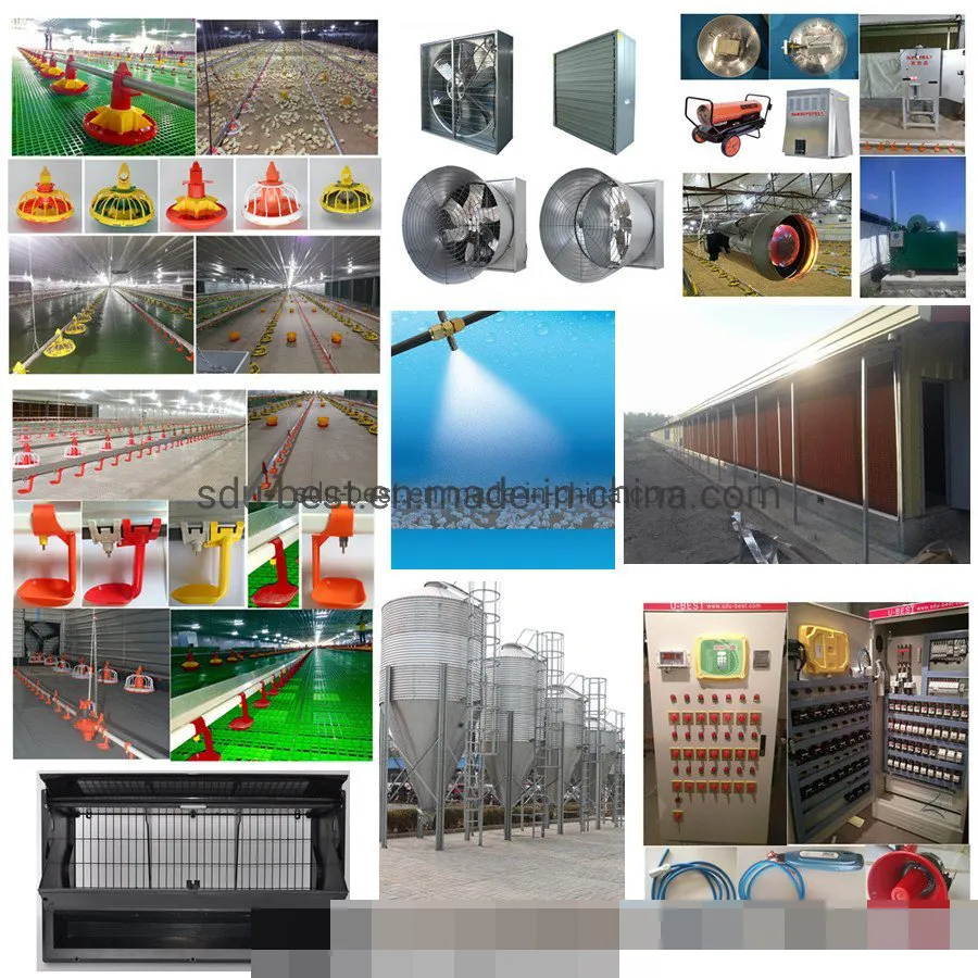 CE Approved Automatic Poultry Feeding Equipment for Farming Broiler Chicken