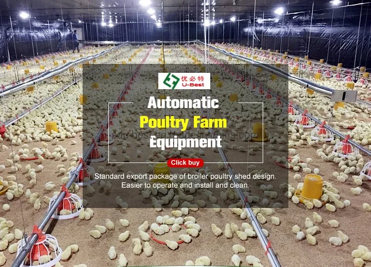 CE Approved Automatic Poultry Feeding Equipment for Farming Broiler Chicken
