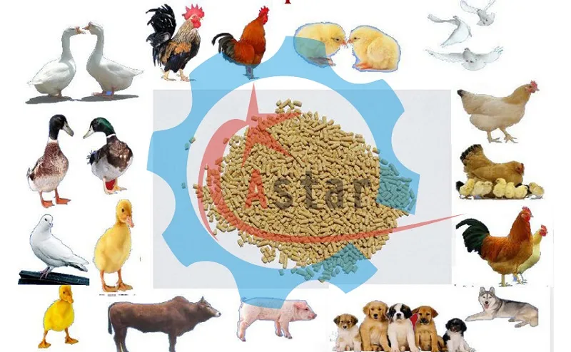 Ce Approved Industrial Use Chicken Feed Mills