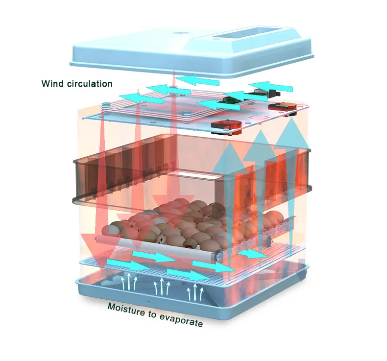 CE Approved Reptile Chickens Egg Incubator 12V 220V for Hatching 280 Eggs