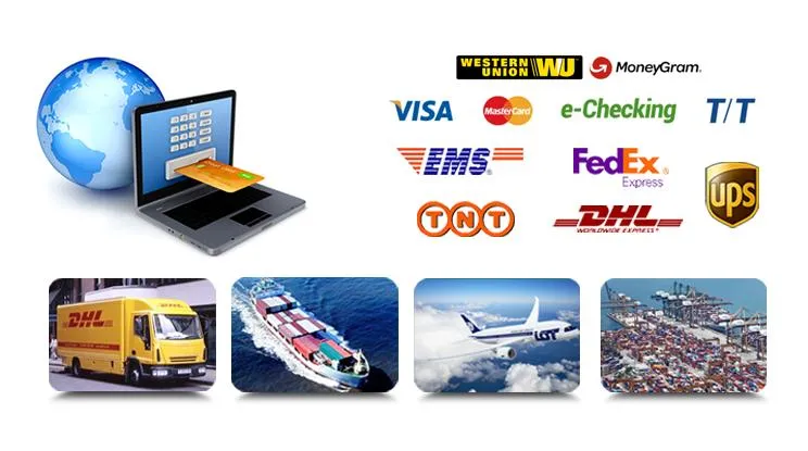 CE Approved Reptile Chickens Egg Incubator 12V 220V for Hatching 280 Eggs