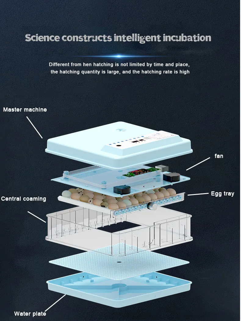 CE Approved Reptile Chickens Egg Incubator 12V 220V for Hatching 280 Eggs