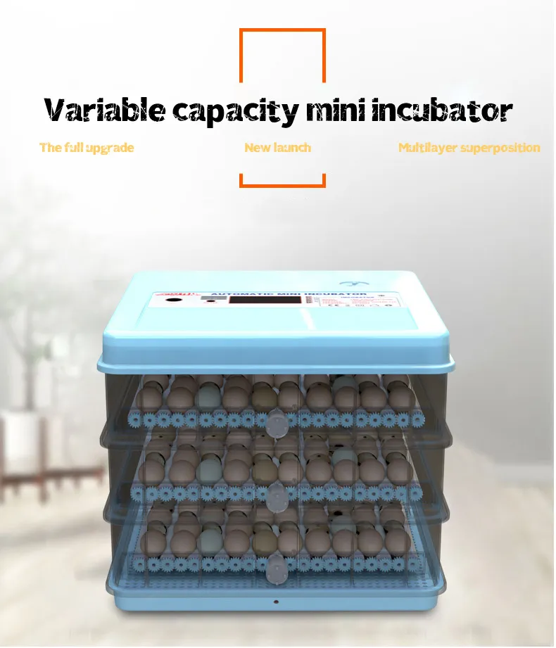 CE Approved Reptile Chickens Egg Incubator 12V 220V for Hatching 280 Eggs