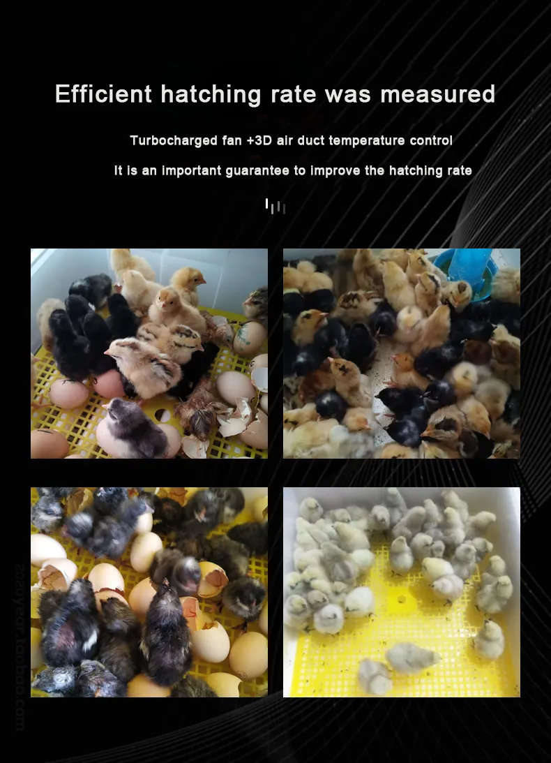 CE Approved Reptile Chickens Egg Incubator 12V 220V for Hatching 280 Eggs