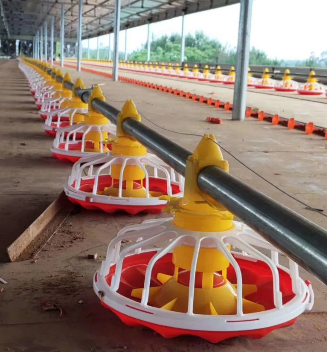 Chicken Farm Equipment Automatic for Chicken House Poultry Farm Livestock