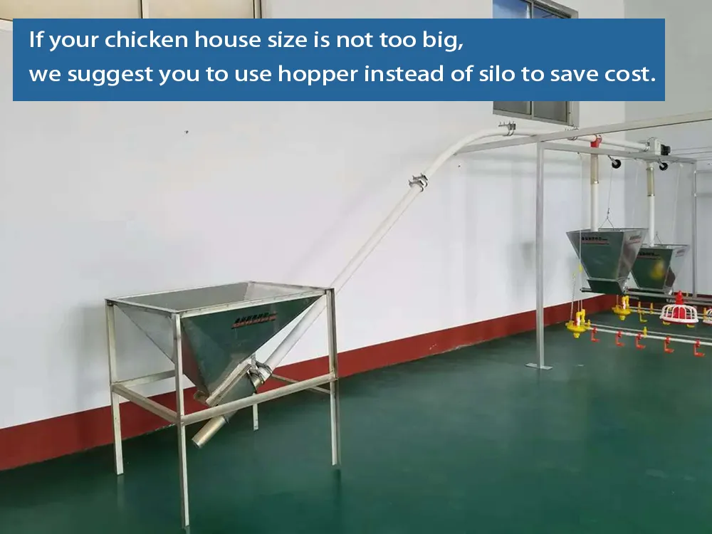 Chicken Farm Equipment Automatic for Chicken House Poultry Farm Livestock